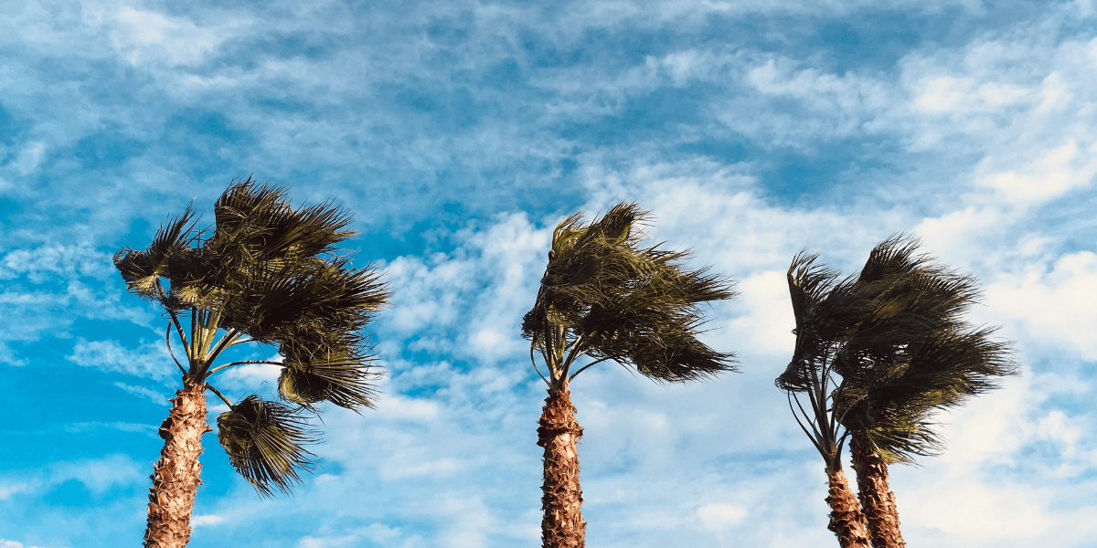 Florida Lawmakers Advance Coastal Resilience Efforts as Communities Prepare for Future Storm Risks