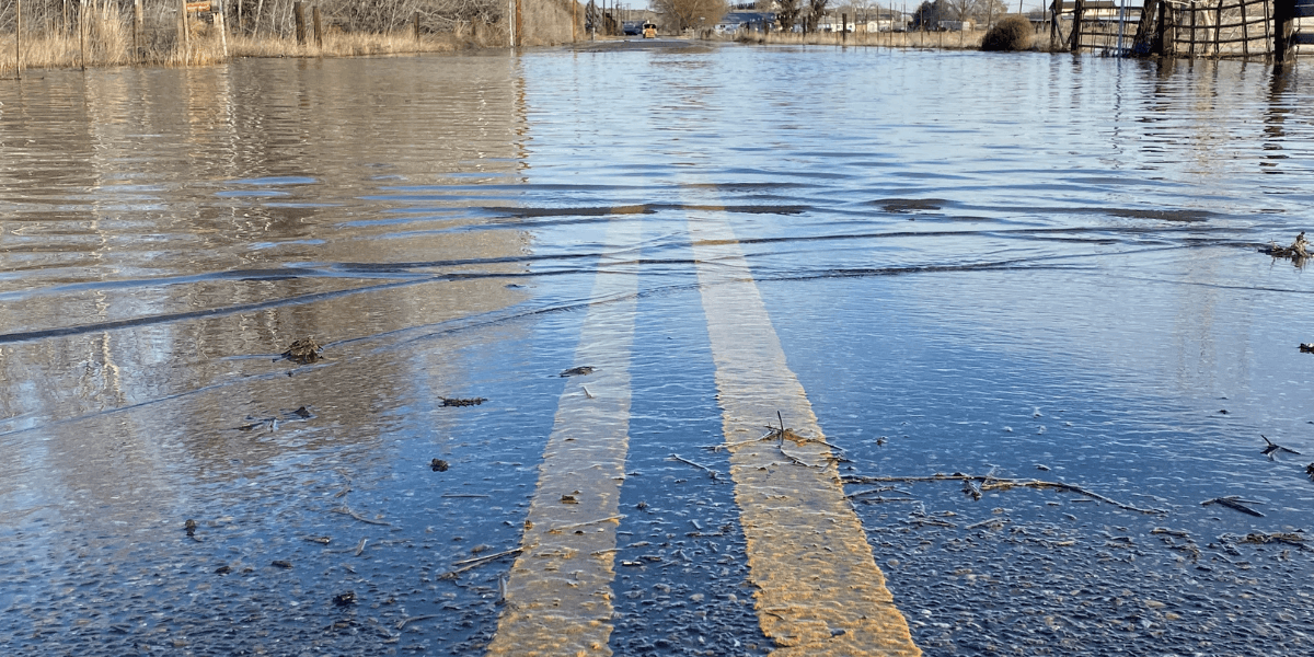 Flooded road with water covering lane markings surrounded by sparse vegetation and buildings