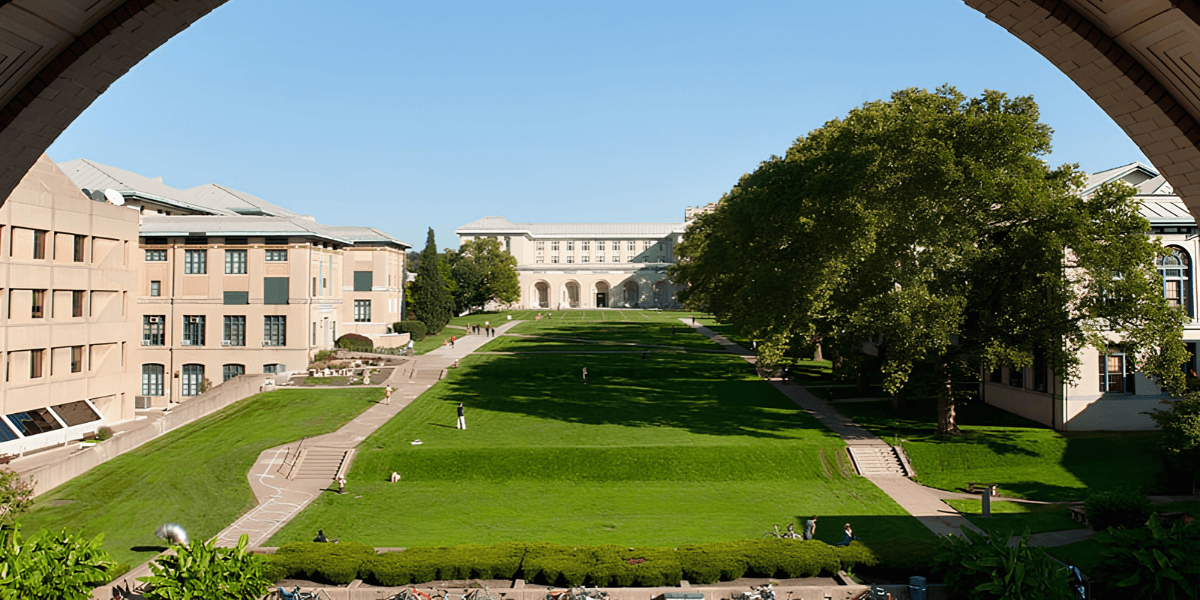 View of a green grassy slope with buildings and trees under a clear blue sky