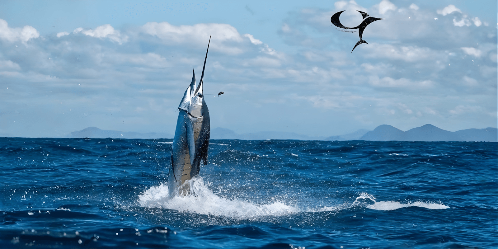 A marlin leaps from the ocean, showcasing its power and grace.