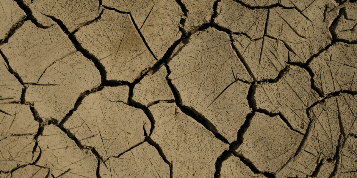 Miami‑Dade County Faces Escalating Drought Crisis; Officials Urge Water Conservation