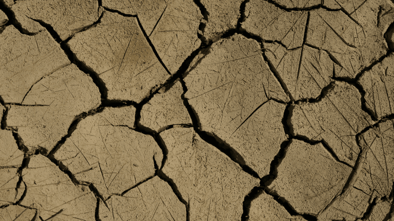 Miami‑Dade County Faces Escalating Drought Crisis; Officials Urge Water Conservation