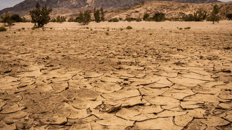 South Florida Faces Heightened Drought Conditions and Unpredictable Weather
