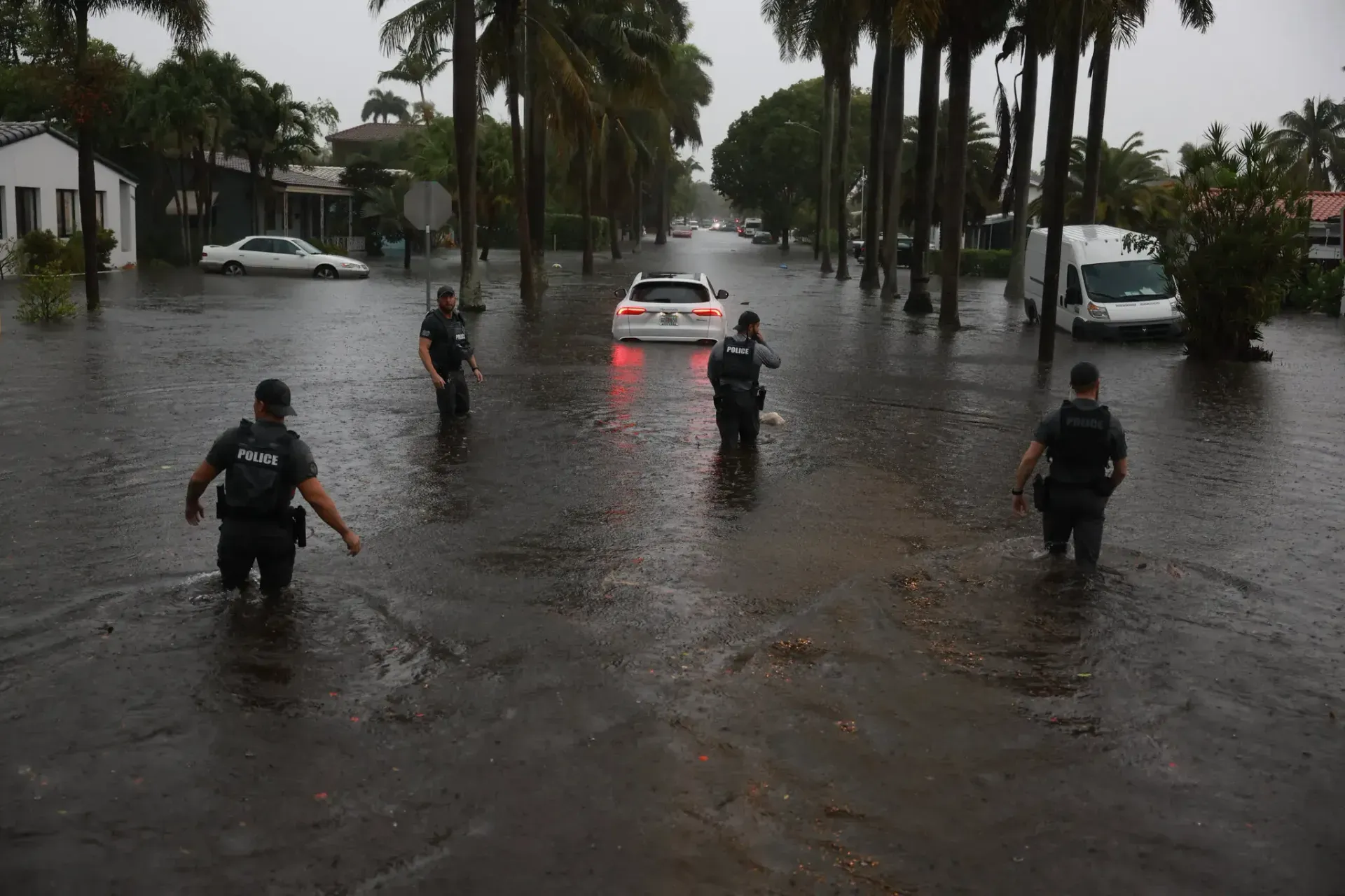 12xp Floridastorm Photostack 13 Zhtf Superjumbo