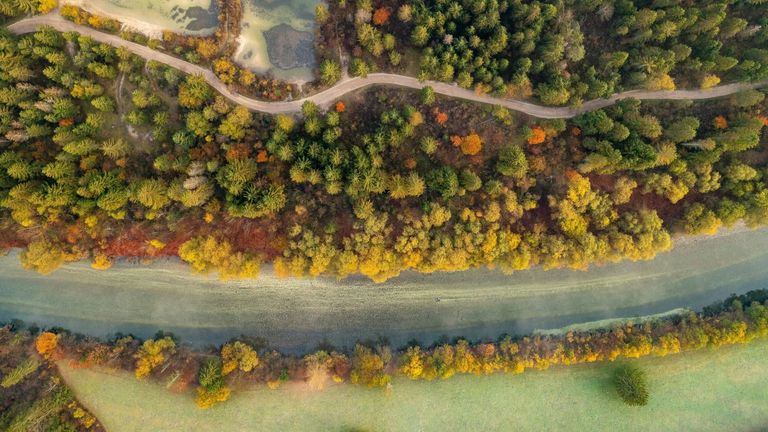 Whistleblower Lawsuit Alleges Retaliation Over Florida State Park Development Plans