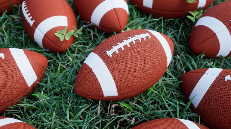Miami Dolphins Fans Gear Up for the 2025 NFL Season