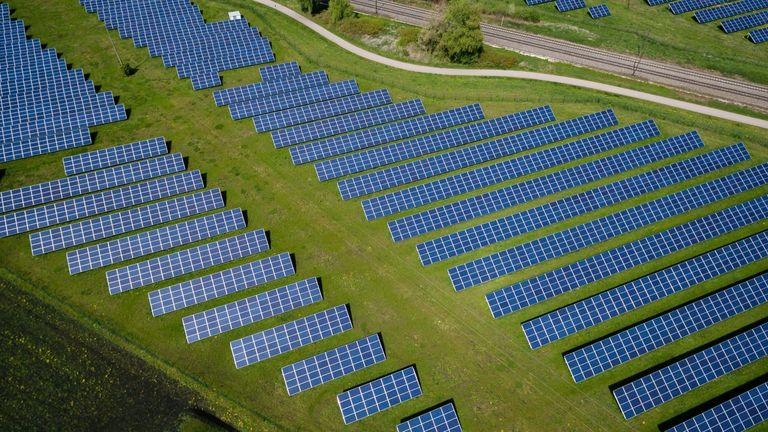 Florida’s Push for Carbon-Free Future: Solar Energy Growth Soars