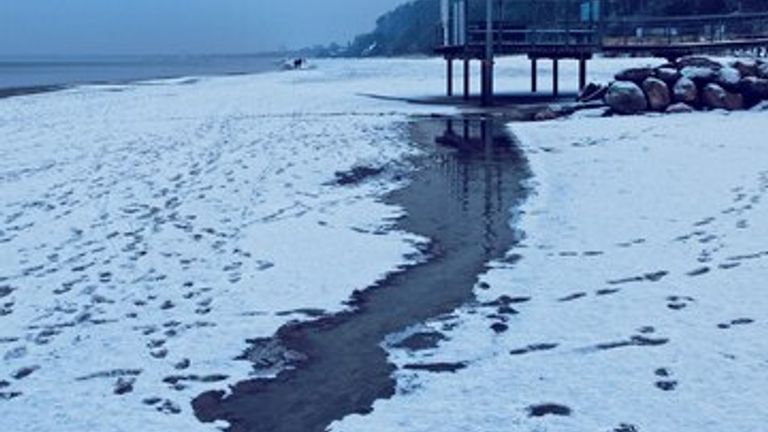 Cold