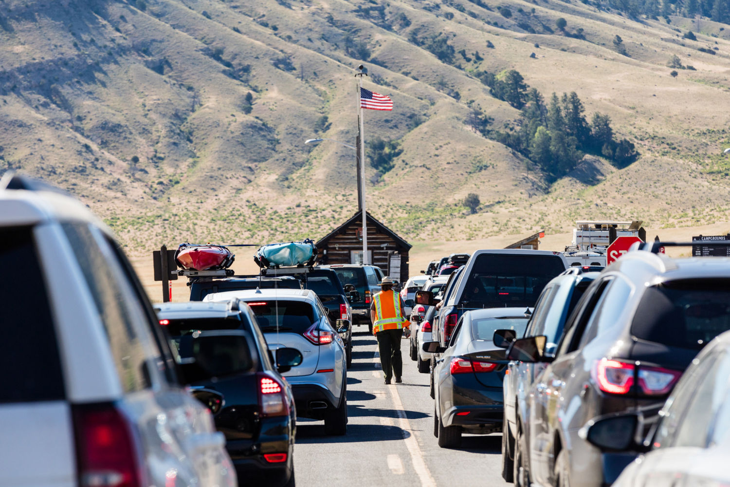 Copy