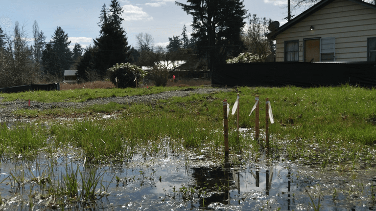 Florida Advances Coastal Resilience Plan Following Severe Spring Flooding