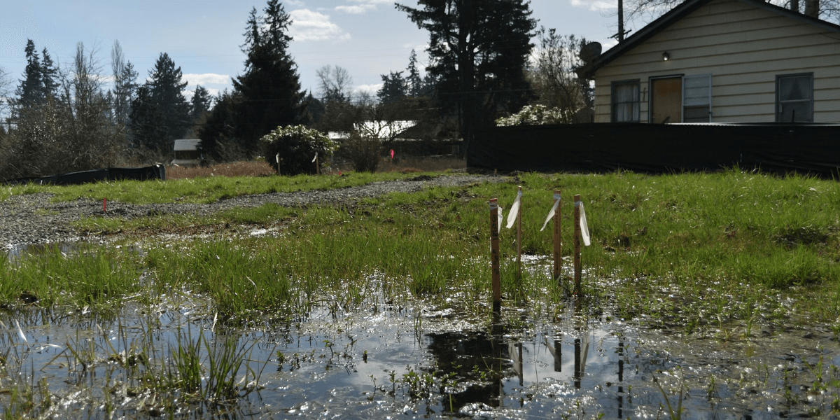 Florida Advances Coastal Resilience Plan Following Severe Spring Flooding