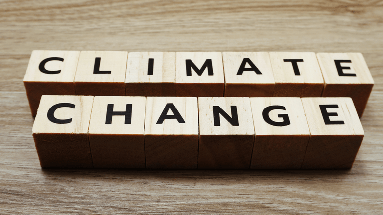 Miami and South Florida Accelerate Climate Resilience Projects Amid Rising Flood Risks