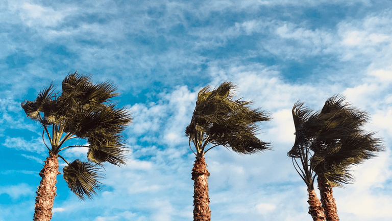 Florida Lawmakers Advance Coastal Resilience Efforts as Communities Prepare for Future Storm Risks