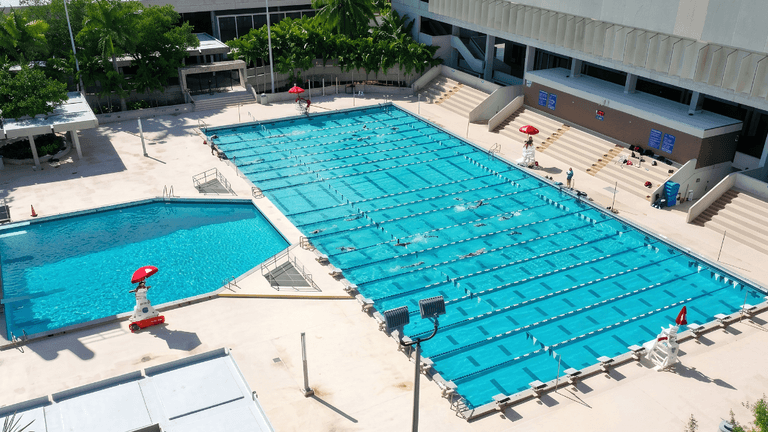 Aerial view of two swimming pools surrounded by palm trees and lounging areas