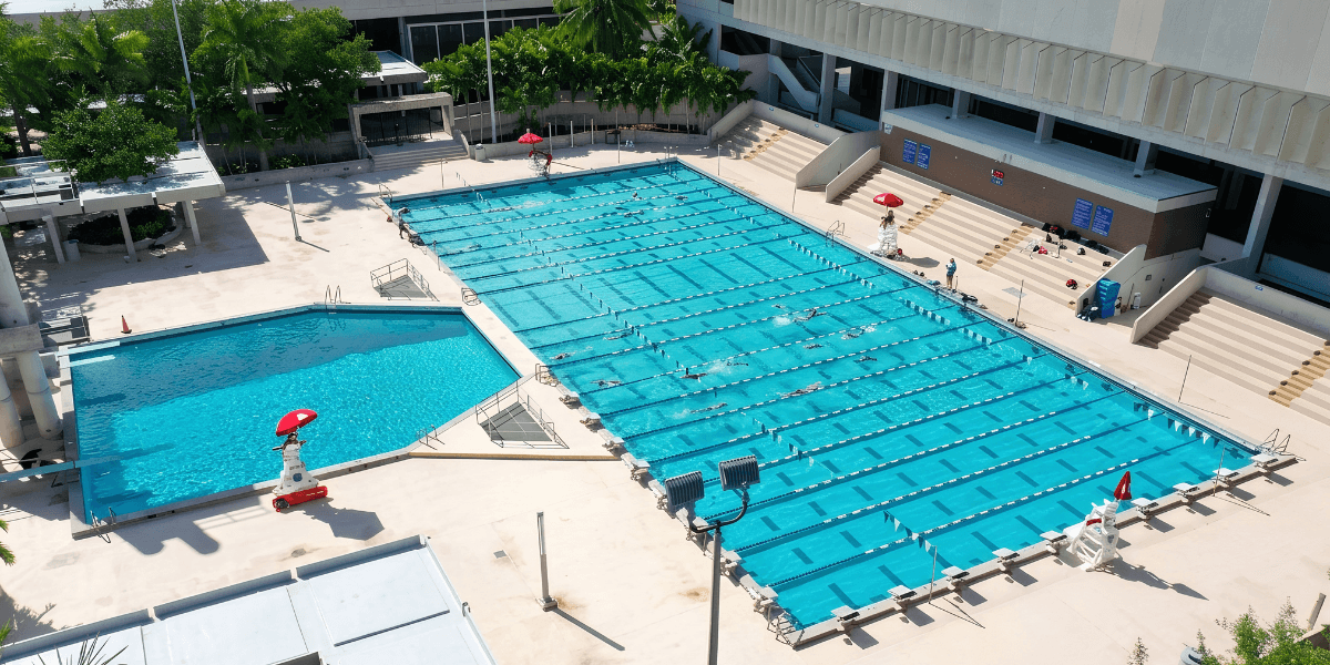 Aerial view of two swimming pools surrounded by palm trees and lounging areas
