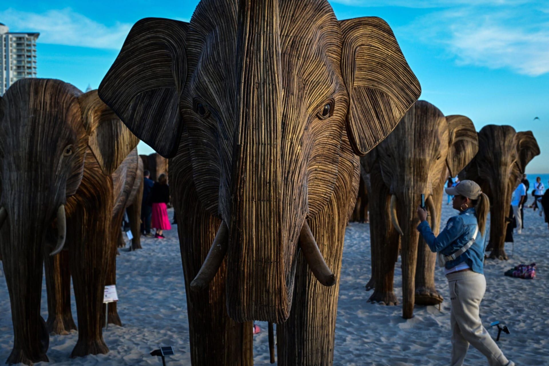 Elephant