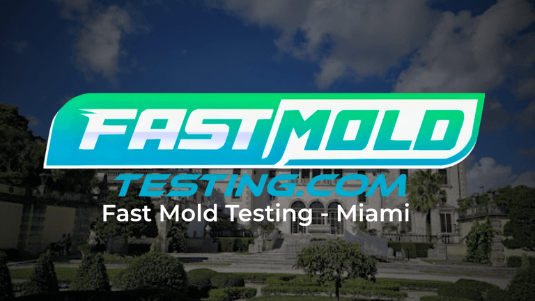 Fast mold testing best mold inspection & testing company in miami of 2026