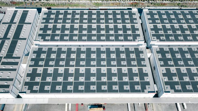 Florida’s Renewable Energy Expansion Accelerates Amid Climate Concerns