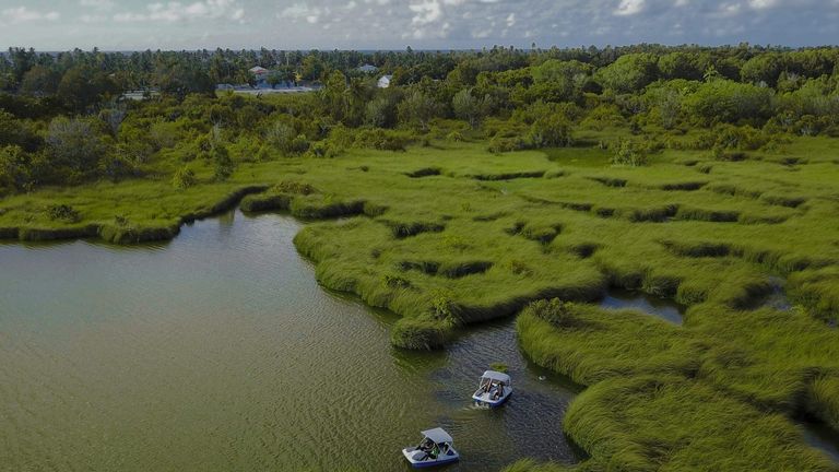 Florida’s Everglades Restoration Project Secures $200 Million in Federal Funding