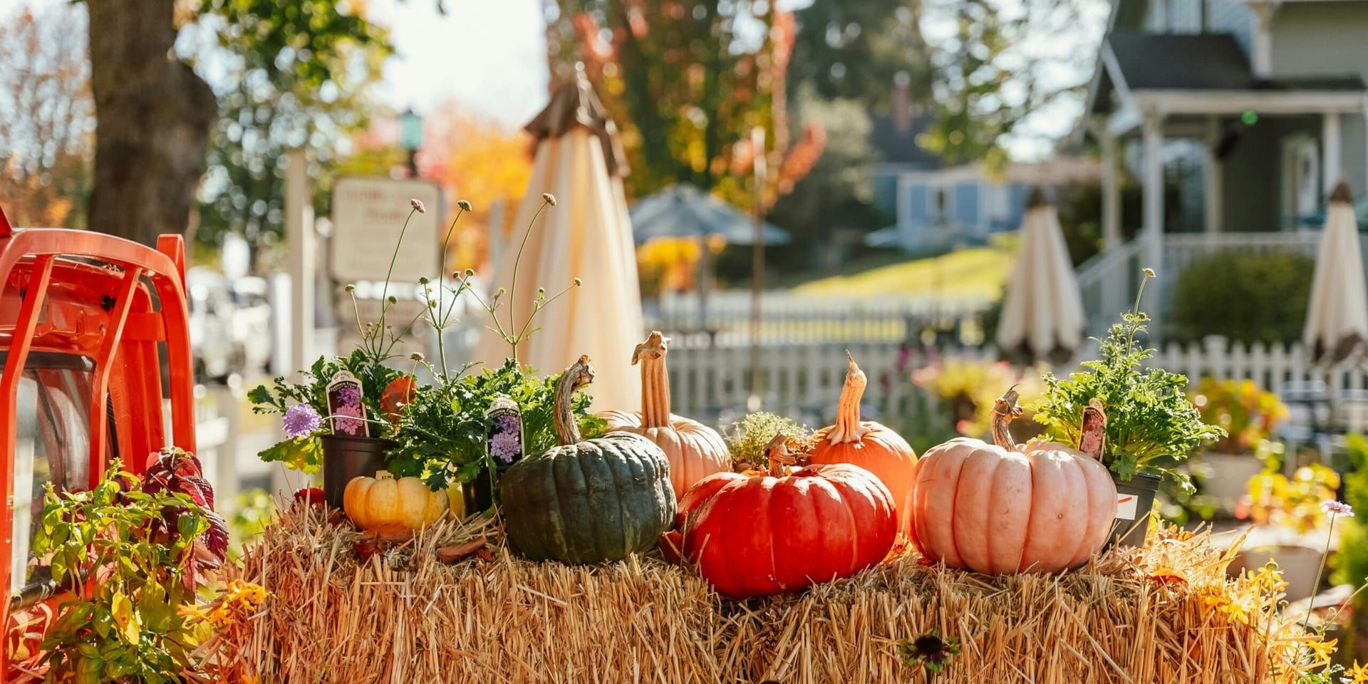 Vizcaya Village Hosts Halloween Farmers Market