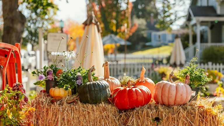 Vizcaya Village Hosts Halloween Farmers Market
