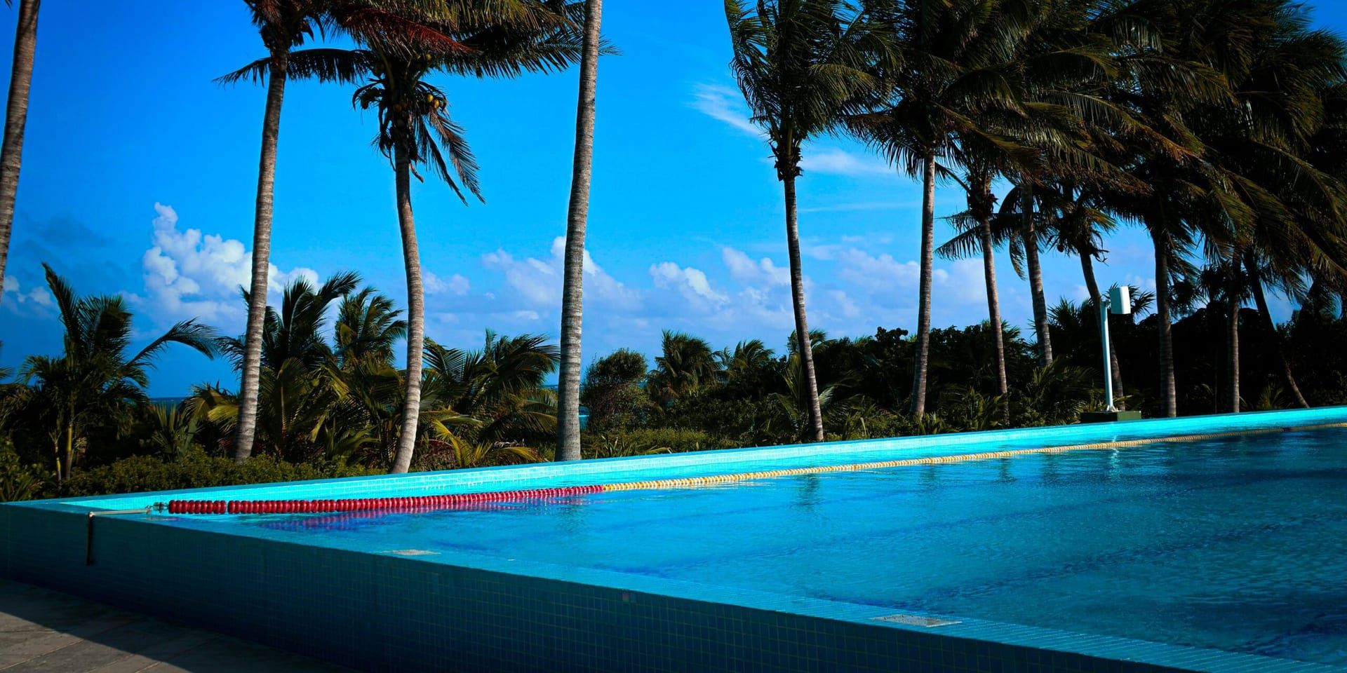 Bethenny Frankel’s Bold Runway Appearance at Miami Swim Week 2025 Draws Mixed Reactions