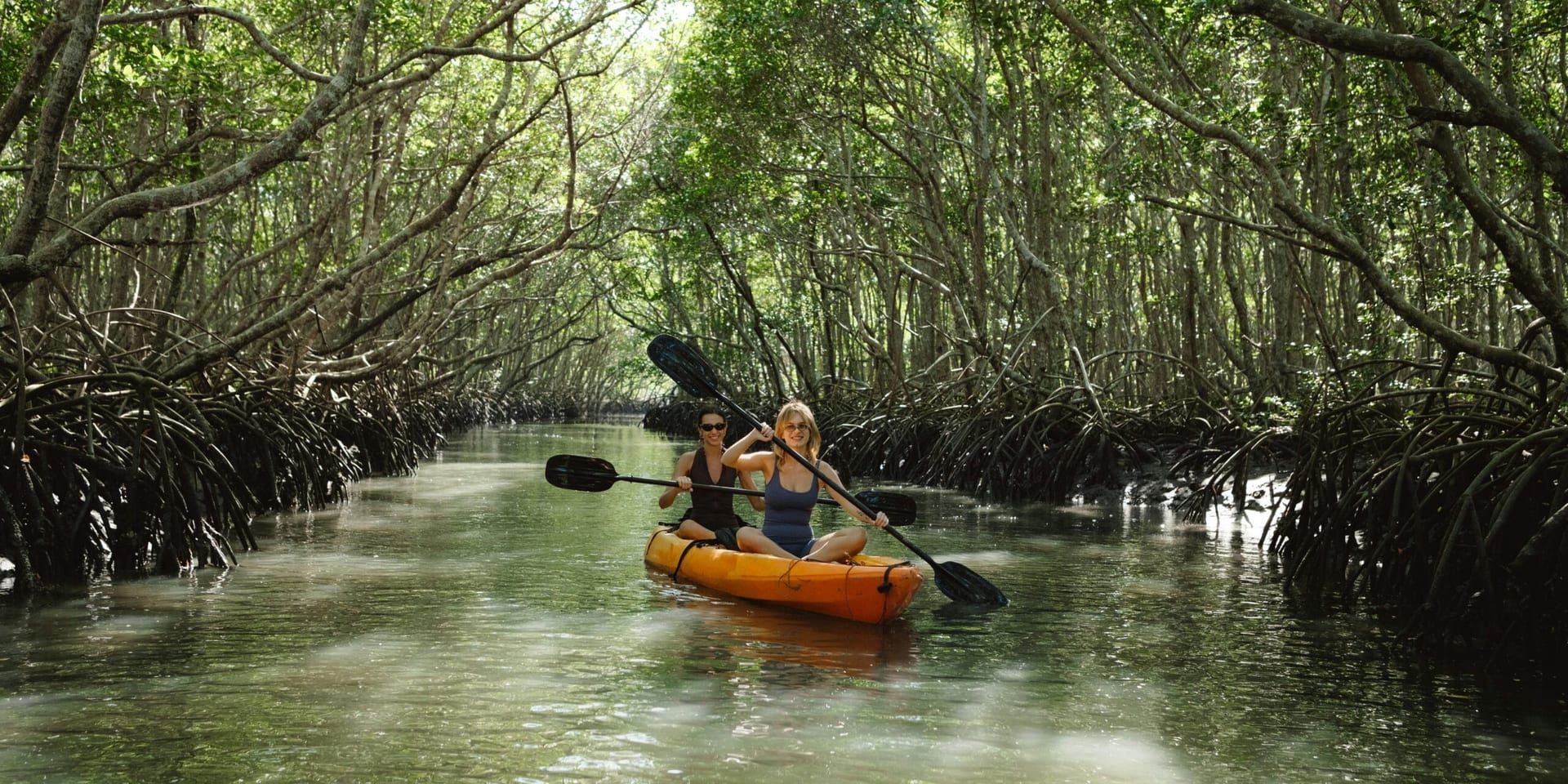 Annual Environmental Audit Validates Progress in Everglades Restoration