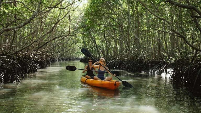 Annual Environmental Audit Validates Progress in Everglades Restoration