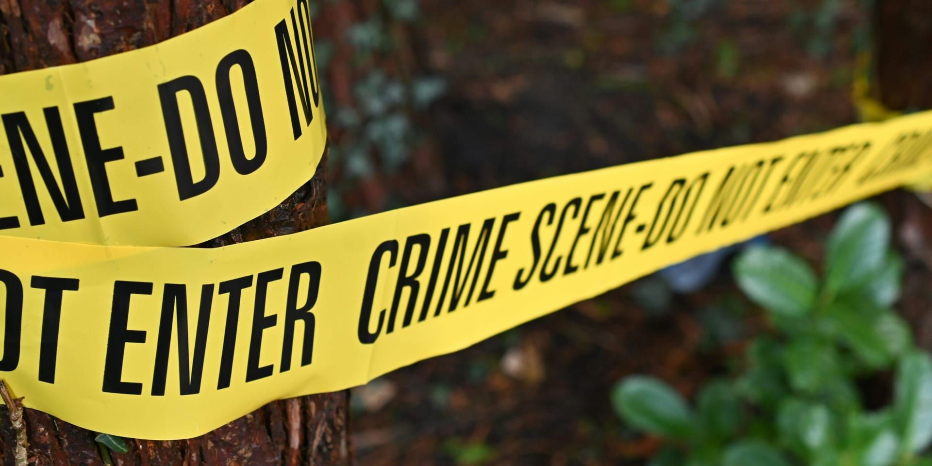 Miami-Dade County Reports Significant Decline in Violent Crime for Q1 2025