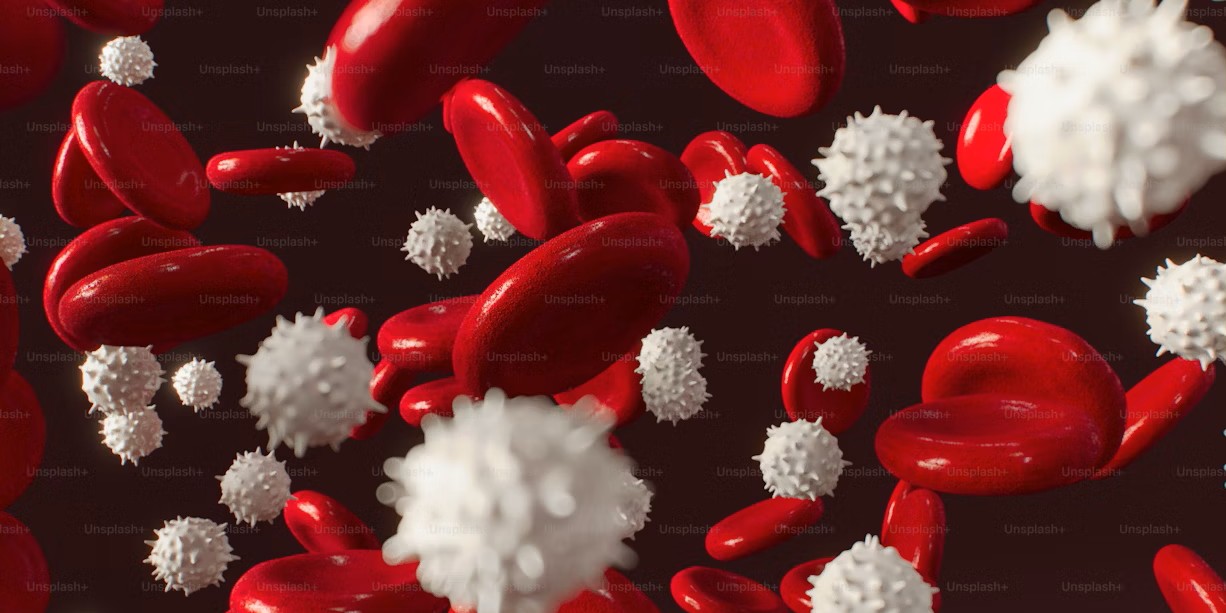 Immune-System Discovery Wins 2025 Nobel Prize in Medicine for Revealing How the Body Prevents Self-Attack