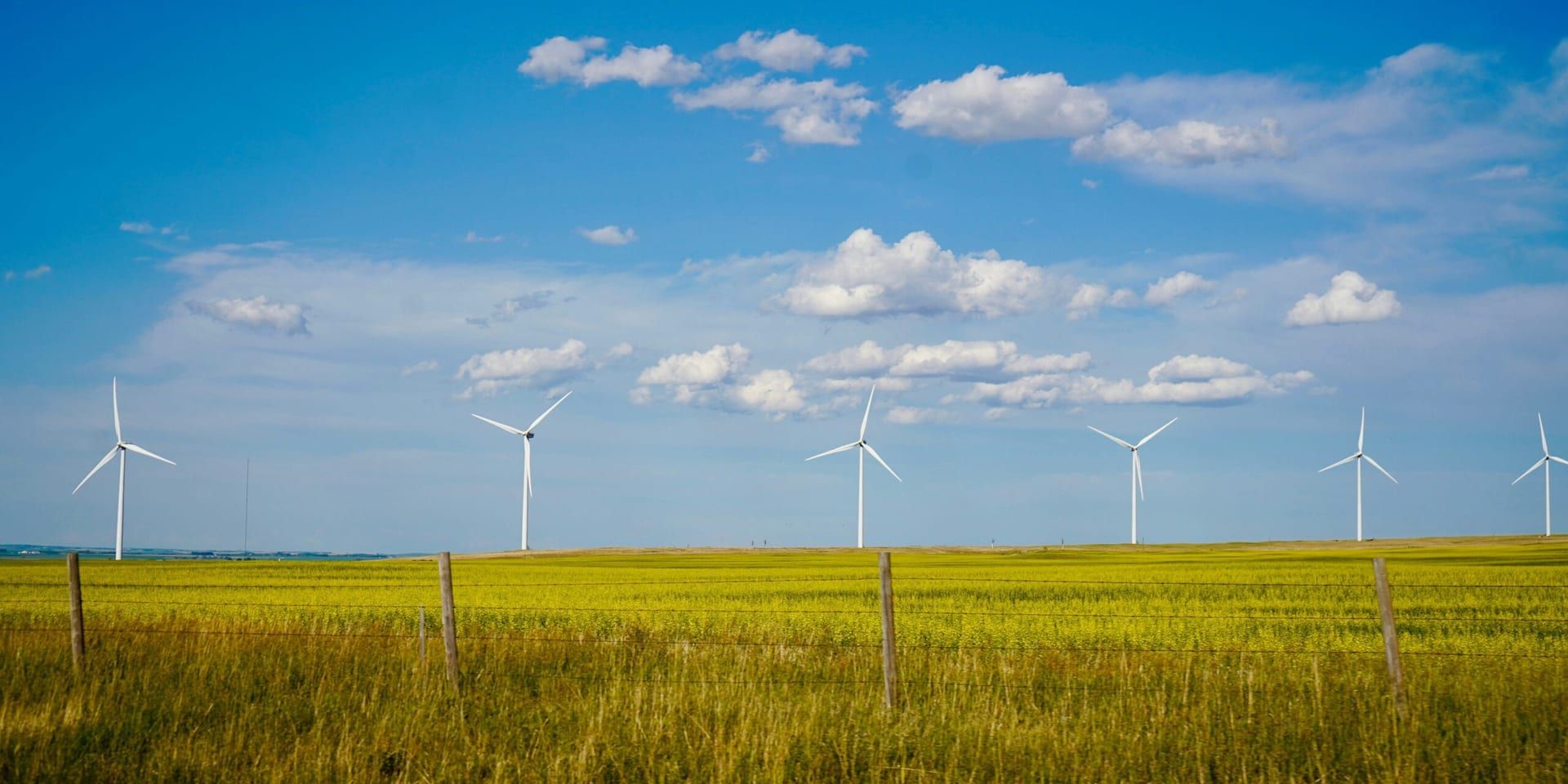 Florida’s New “Green” Energy Initiatives Are Reshaping the State’s Power Grid