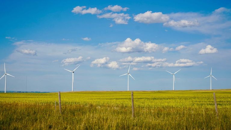 Florida’s New “Green” Energy Initiatives Are Reshaping the State’s Power Grid