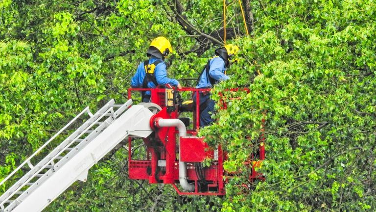 Miami-Dade Fire Rescue Responds to Fatal Tree Trimming Incident