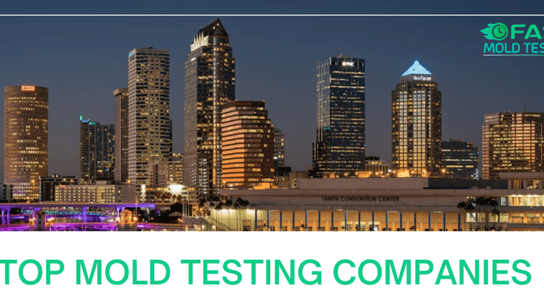 Reliable mold inspections with clear reports, adhering to Florida’s strict regulations for mold assessment and remediation.
