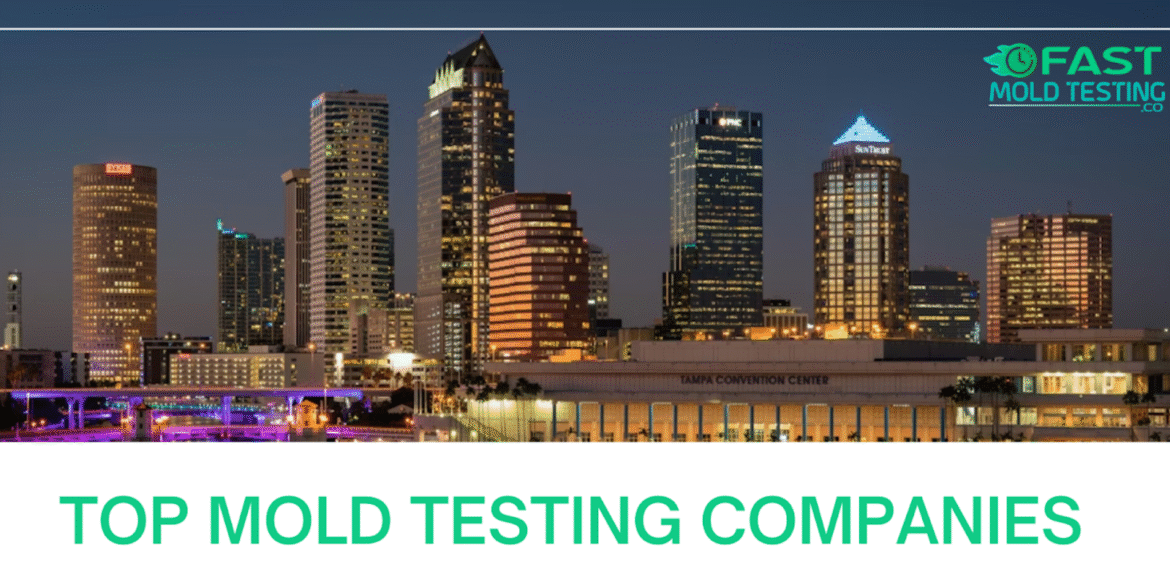 Reliable mold inspections with clear reports, adhering to Florida’s strict regulations for mold assessment and remediation.