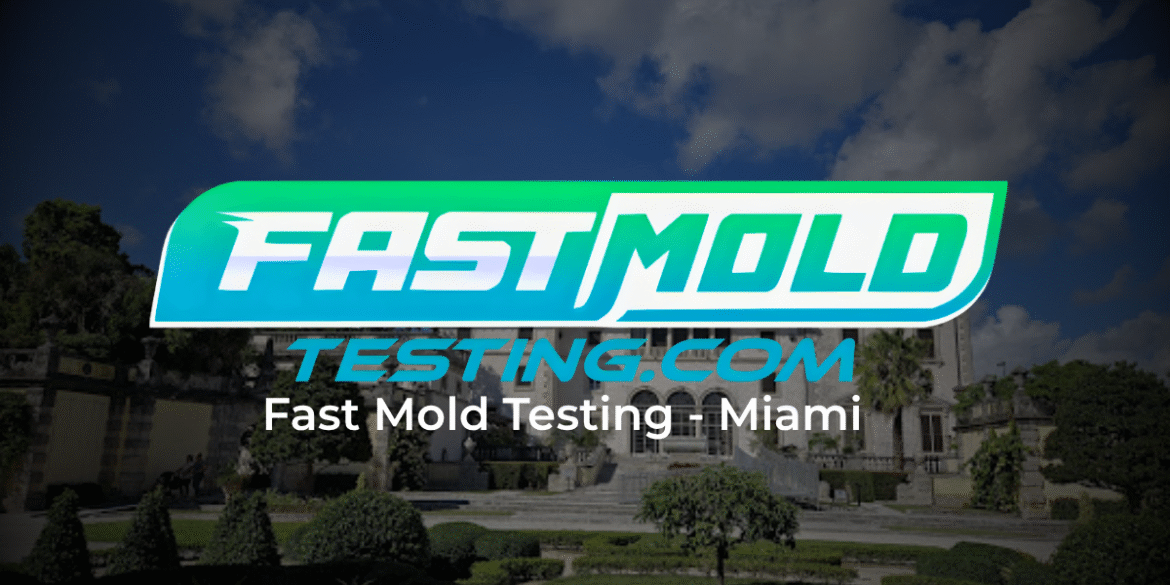 Fast mold testing best mold inspection & testing company in miami of 2026